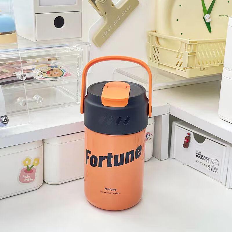 Portable Insulated Stainless Steel Straw Mug