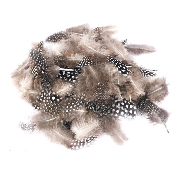 Plumes naturel de pintade 4/7 cm 10g
