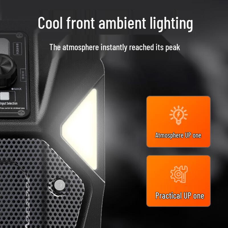 SANSUI D12 12-inch Portable Karaoke Speaker with Dual Microphones CN Plug (adapter Included)