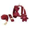 Wine Red Velvet Dog Collar & Leash Set - Adjustable Neck Collar & Chain Leash for Pets