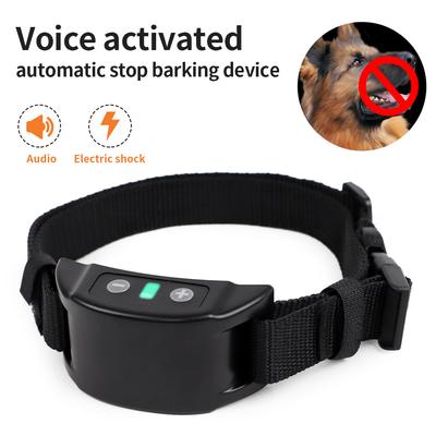 Köpek – Eğitim ve Öğretim Araçları