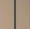 Geberit Electronic Urinal Flush Plate Battery Red Gold 116237QB1