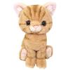 Sun Lemon Kitten American Shorthair Brown Plush Animal Cat P-7531 14.9 X 16.3 X 7.2 Cm