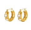 18K Gold-Plated Zircon Earrings: Elegant, Fashionable, and Versatile