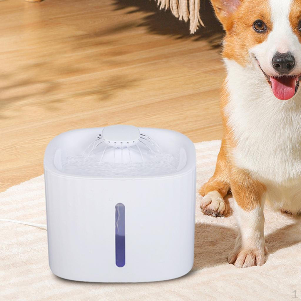 Cat Water Fountain, 3L Automatic Fountain Bowl, Bowl Dispenser with LED Light