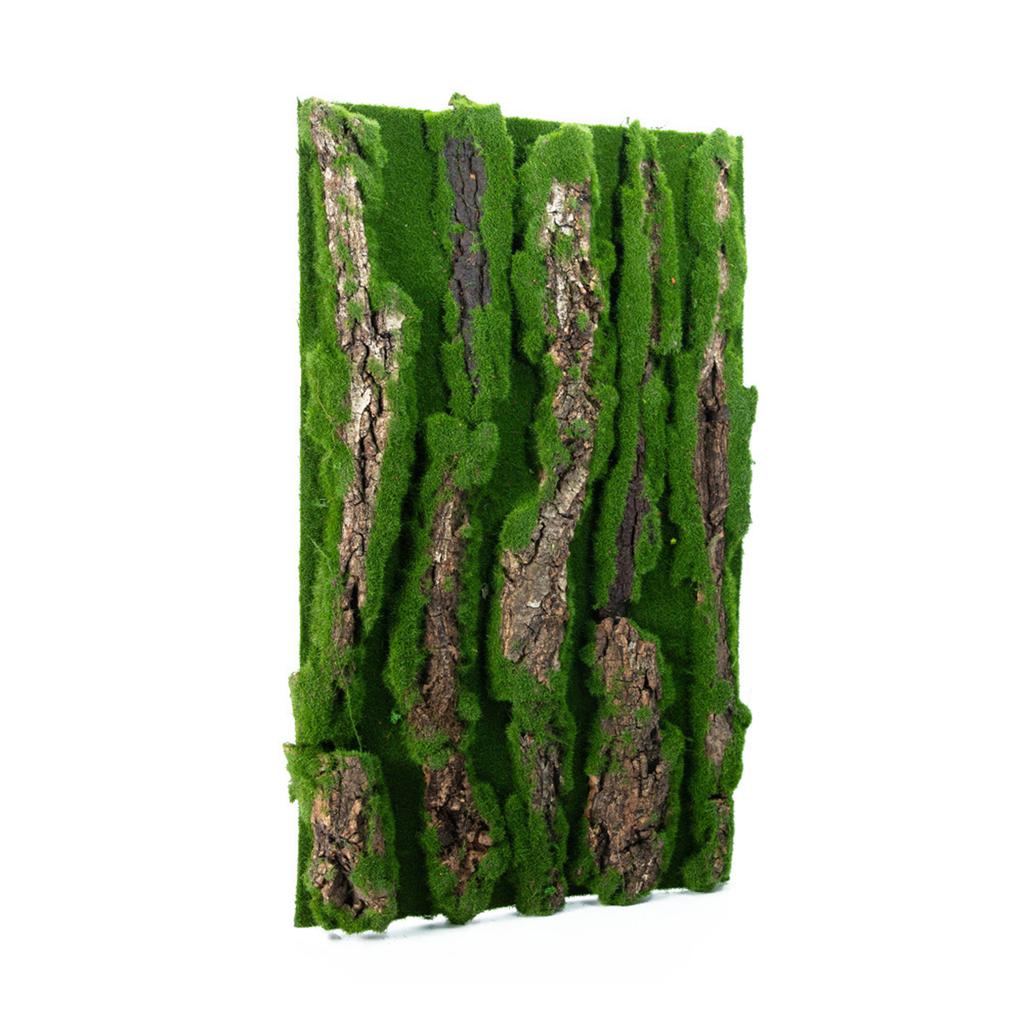 Natural Bark Moss Backdrop Board for Terrariums and Reptile Safe and Mold Resistant Habitats Background for Amphibian
