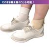 Taketora Sofra Wolf OA Beige M Size