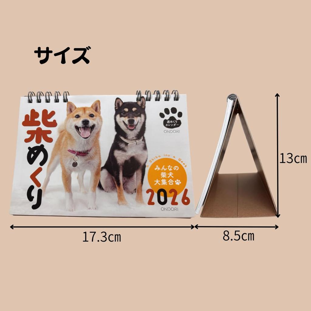 Shiba Mekuri 2026 Desk Calendar CK-D26-03