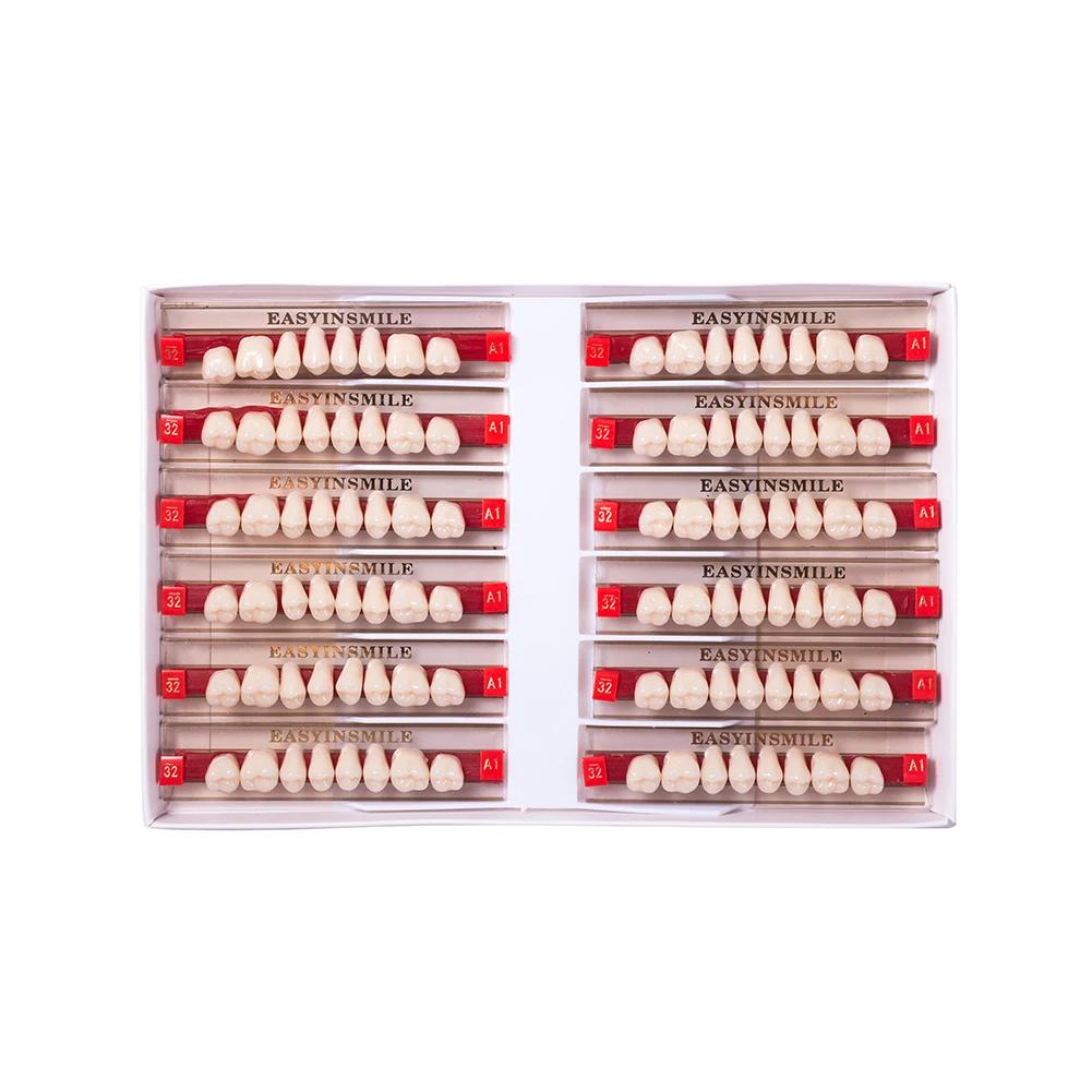 16/12 Sätze/Karton Zahnprothese Zähne Oberkiefer Frontzähne Unterkiefer Seitenzähne Dentier Synthetisches Polymerzähne Zahnmedizinische Ausbildungsmodell