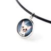 Dachshund Smooth-haired, Wiener dog, Badger dog – A set of jewelry in a box, necklace | Art-Dog