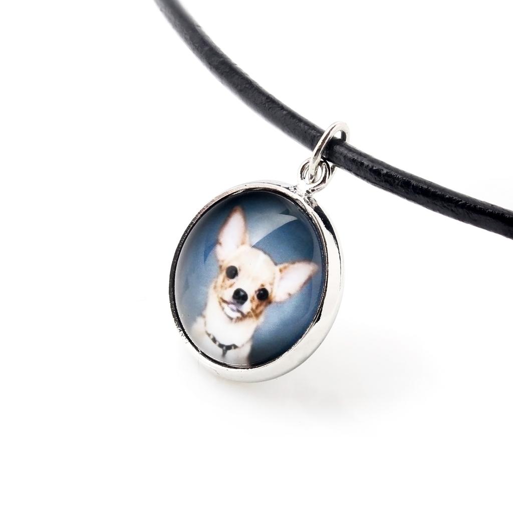 Dachshund Smooth-haired, Wiener dog, Badger dog – A set of jewelry in a box, necklace | Art-Dog