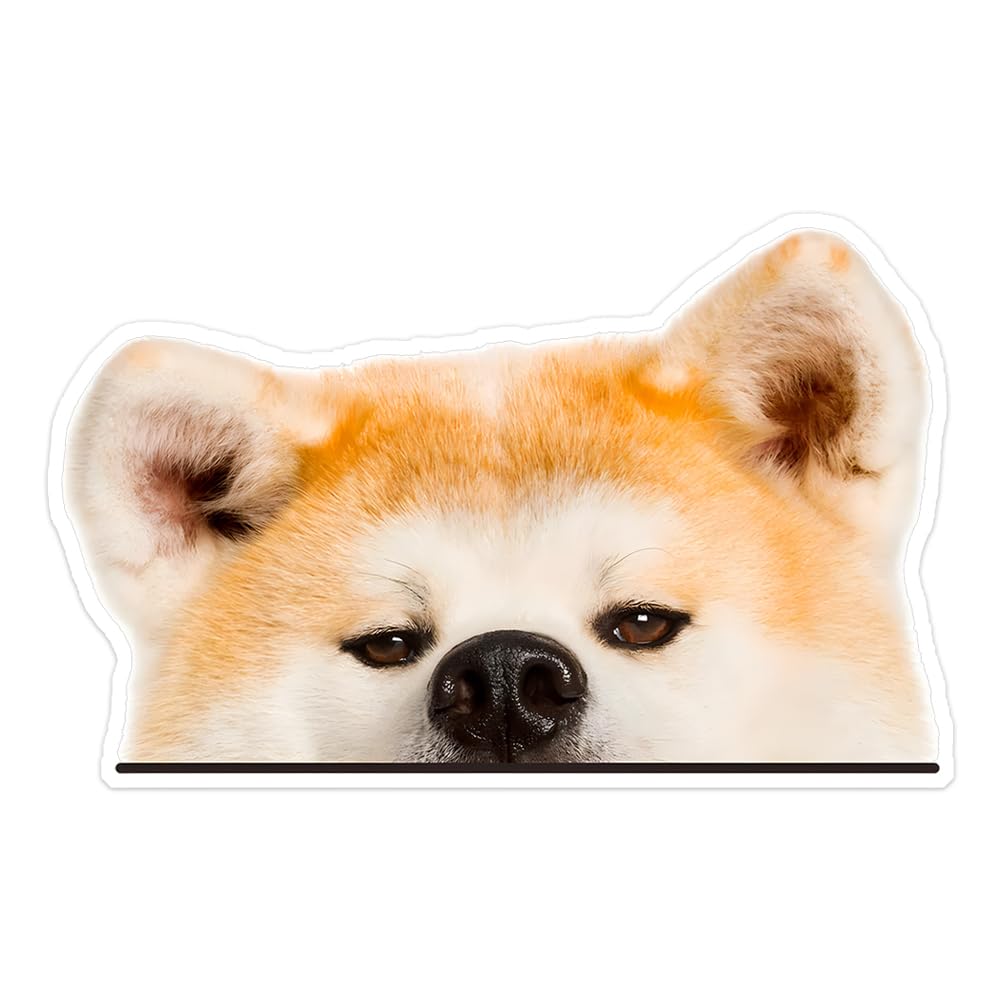 2 kusy 6"x3,75" Vodotěsná dekorace auta a kola Akita pes Podlé oči Vinylová nálepka -