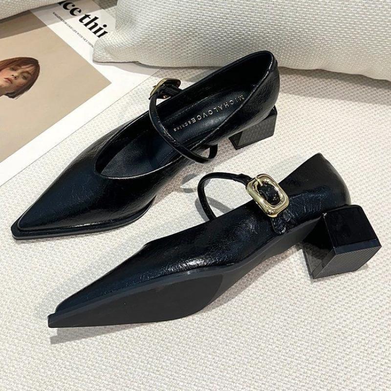 2025 Frühling Stil Spitzschuh Quadratischer Absatz Vielseitiger Stil Einzelne Schuhe Damenschuhe Mittel Professionell Schnalle Kleid Hohe Absätze