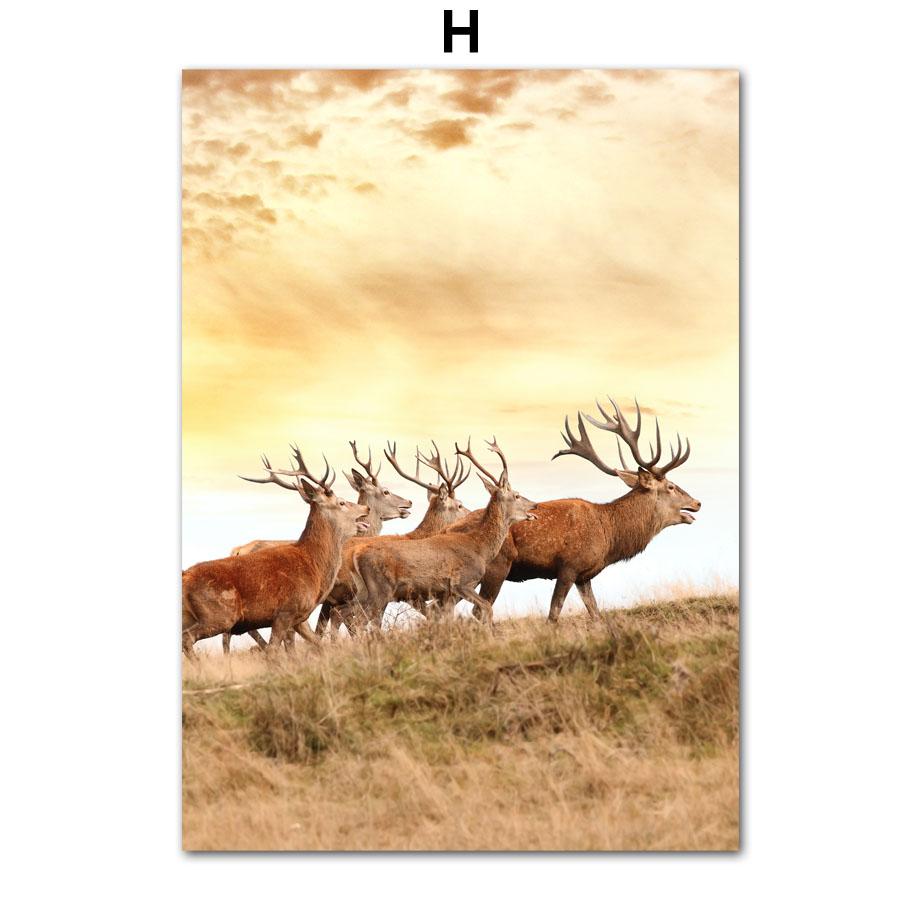 Herbstlandschaft Ahornwald Elch Weizen Schilfblume Eule Poster Drucke Nordische Wandkunst Leinwandmalerei Wohnzimmer Heimdekor