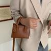 Minimalist Mini Handbag Solid Color Women's Crossbody Bag All-Match Small Square Bag Outing