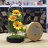 Drei Sonnenblumen-Glasabdeckungs-Ornament, kreatives Weihnachts- und Valentinstagsgeschenk, simulierter unsterblicher Strauß