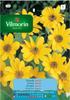 Zebulon Sunflower Seeds