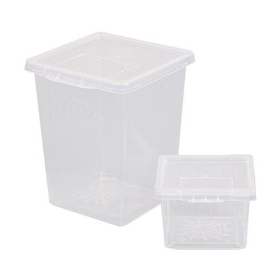 Plastic Feeding Acrylic Box Insect Spider Habitat Feeding Box Transport Hatching Tank