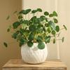 Decorative Artificial Faux Plants Floral Fake Lotus Leaves  Living Room Ornaments