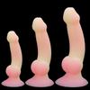Female Soft Meat Silicone Dildo Adult Alternative Anal Expansion Toy