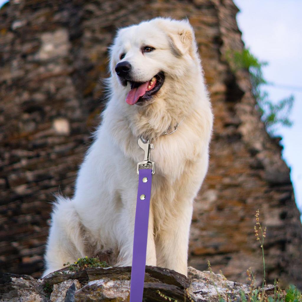 2CM Wide Waterproof Dog Leash Long Pvc Pet Leashes Easy To Clean Rope for Small Medium Large Big Dogs Walking Traning Lead