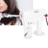 Multifunctional Nano Steam Gun Hair Coloring Dyeing Steamer Humidifer Hair Care Tool