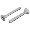Screw 2 Pcs Zinc Coated Iron