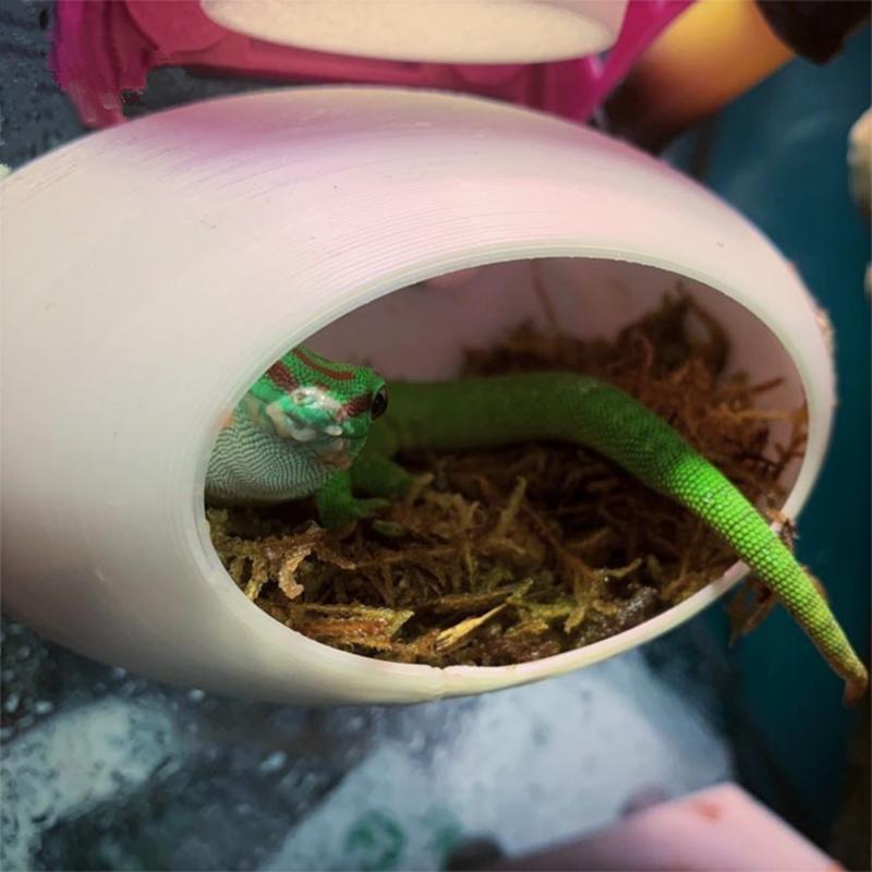 lizard axolotls Aquarium Cave For Aquatic Pets To Breed, Play AndRest Fish Tank Ornaments