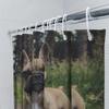 Adorable French Bulldog Shower Curtain High-Quality Fabric Print For Bathrooms Perfect Gift Idea