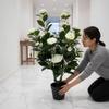 Artificial Camellia Tree Tall with Flowers Sturdy Vibrant for