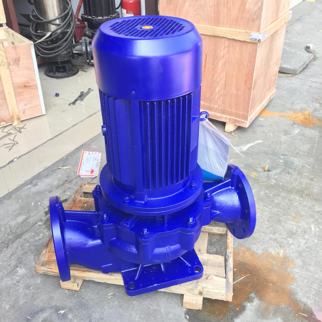 Vertical 25SG2.5-15 Boiler Hot Water Circulation Pipeline Pump