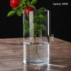 High Borosilicate Glass Hydroponic Vase & Desktop Planter - Straight Tube Design for Artistic Arrangements and Moss Ecosystem