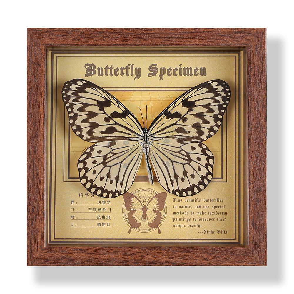 Real butterfly specimen photo frame, decorative painting, 3D ornament, handmade DIY, birthday gift, insect specimen