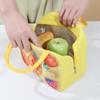 Cute Dopamine Cartoon 3D Pattern Insulated Bento Lunch Bag for Work or School