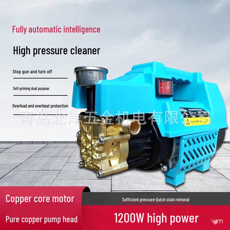 220V High-Pressure Portable Car Washer Gun