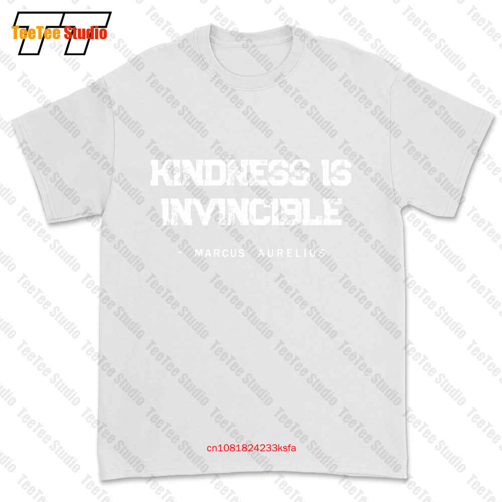 

Футболка Be Kind Equality Anti Racist Marcus Aurelius, футболка FFI3, футболка унисекс 3XL