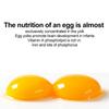 Egg Scrambler Hand Egg Shaker Mixer Yolk Egg White Mix Manual Tool Golden Egg Maker for Kids