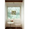 Masking Tape - Masking Tape MT Casa Shade Spécial Vitre 15 cm Motif feuillage