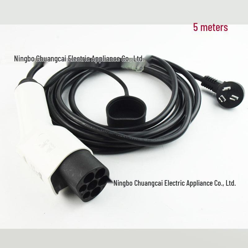 

Портативное зарядное устройство для электромобилей 7 кВт для BYD и Tesla - для дома и бортового использования