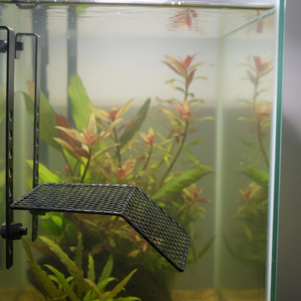 Schildkröten Sonnenplattform Robuste Kletterrampe Leicht für Wasserschildkröten