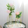 Creative Wrought Iron Hydroponic Plant and Flower Stand Vase