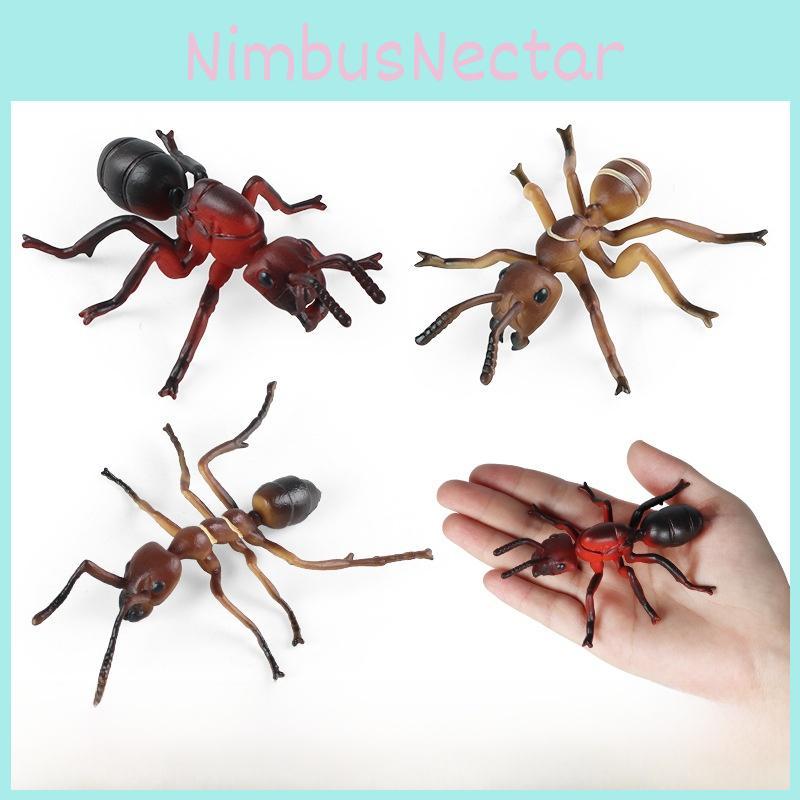 Montessori Insect Animal Model Set With Realistic Plastic Figures For Educational Play And Recognition