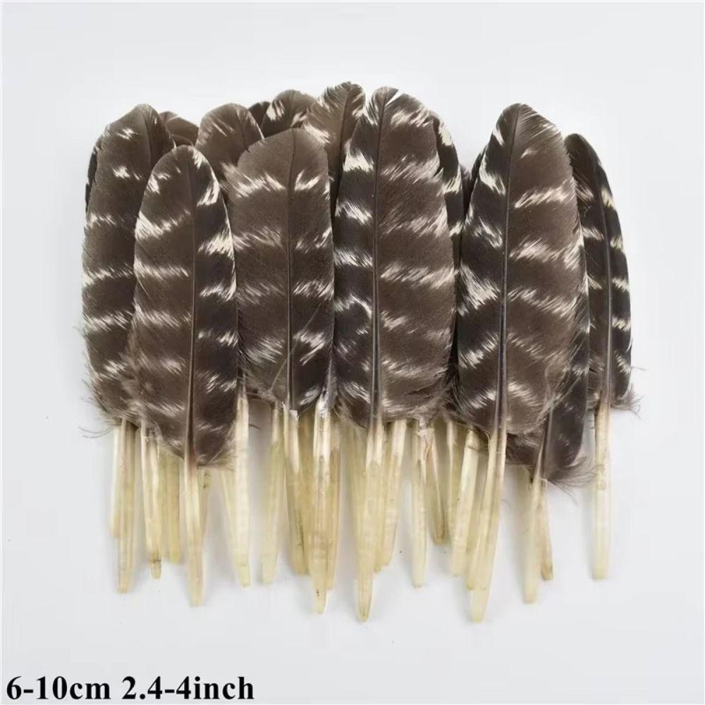 40/48Pcs Assorted Mixed Feathers Long Pheasant Plumage Natural Feathers Bulk  Handmade Dream Catcher