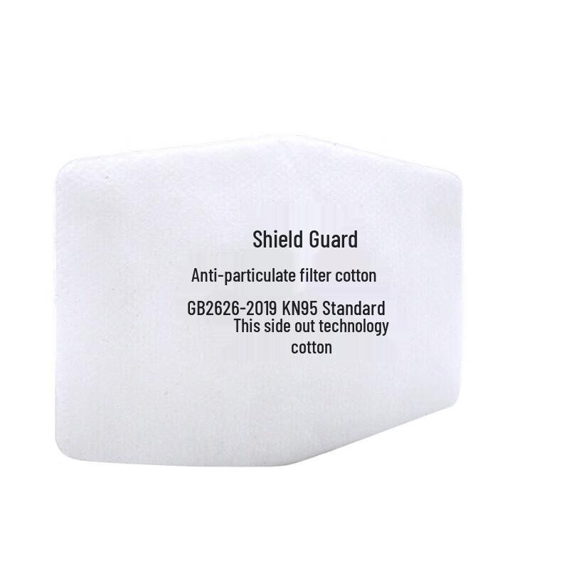 Dunsou 1020 Industrial Dust Mask & Filters