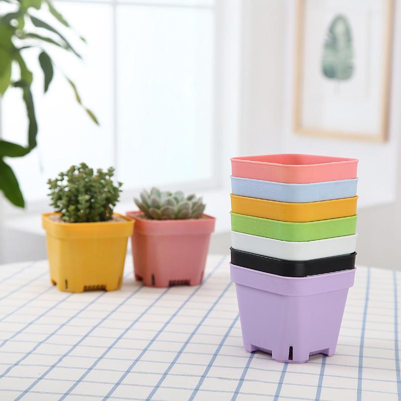 Thickened Black Square Succulent Pot - Breathable Plastic Planter for Seedlings and Lithops