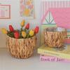 Gourd Grass Plant Holder Stool Flower Pots with Plastic Lining Decorative Planter Basket for Balcony Or Living Room Use