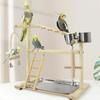 Wooden Bird Playstand Gym - Parrot Cockatiel Playground with Metal Feeder Perch Ladder Plate Interactive Bird Toy for Activity