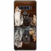 For LG K51 K61 Stylo6 Case Silicone Soft Colorful TPU Phone Cases for LG Stylo 6 Back Cover Bumper Funda for LGK51 K 61 Coque