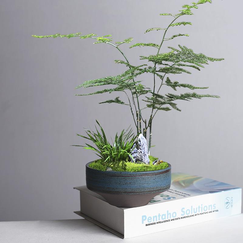 Retro Kiln Change Wenzhu Moss Ball Hydroponic Flower Pot Flower Arrangement Utensils Non-Porous Copper Coin Grass Green Dill Narcissus Pot