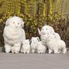 Year of the Sheep Children's Plush Toy - Sheep Model In Seven Sizes